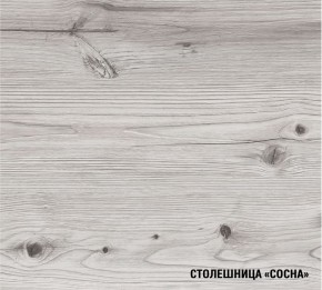 АСАЯ Кухонный гарнитур Экстра 2 (3000 мм) ПМ в Надыме - nadym.ok-mebel.com | фото 8