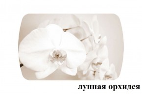 БОСТОН - 2 опоры Триумф в Надыме - nadym.ok-mebel.com | фото 18