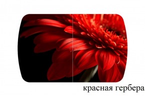БОСТОН - 2 опоры Триумф в Надыме - nadym.ok-mebel.com | фото 50