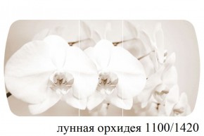 БОСТОН - 3 Стол раздвижной Лунная орхидея 1100/1420 опоры Триумф в Надыме - nadym.ok-mebel.com | фото 3