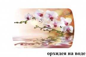 БОСТОН - 3 Стол раздвижной Орхидея на воде 1100/1420 опоры Триумф в Надыме - nadym.ok-mebel.com | фото 2