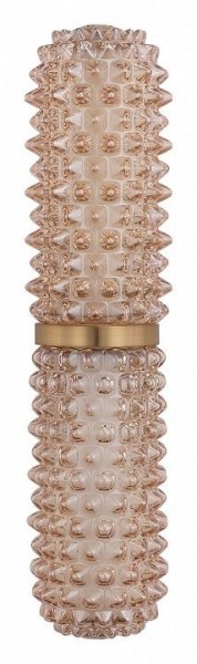 Бра ST-Luce SAGUARO SL6144.301.01 в Надыме - nadym.ok-mebel.com | фото 4