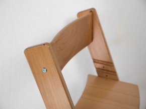 Детский растущий стул из бука Премиум Конёк Горбунёк (Светлый бук) в Надыме - nadym.ok-mebel.com | фото 3