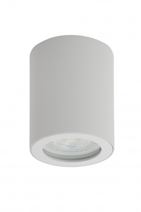 DK3007-WH Накладной светильник влагозащ., IP 44, 15 Вт, GU10, белый, алюминий в Надыме - nadym.ok-mebel.com | фото