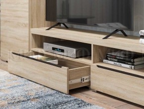 ЭКОЛЬ Гостиная Вариант №3 МДФ (Дуб сонома) в Надыме - nadym.ok-mebel.com | фото 2