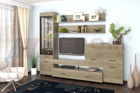 Гостиная Камелия Композиция 5 (Гикори Джексон светлый) в Надыме - nadym.ok-mebel.com | фото