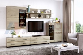Гостиная Камелия Композиция 6 (Гикори Джексон светлый) в Надыме - nadym.ok-mebel.com | фото