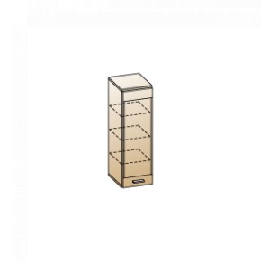 Гостиная Камелия Композиция 9 (Снежный ясень - серый) в Надыме - nadym.ok-mebel.com | фото 2