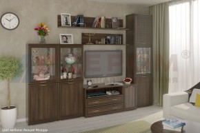 Гостиная Карина Композиция 22 (Акация Молдау) в Надыме - nadym.ok-mebel.com | фото