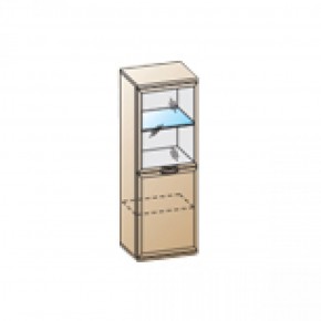 Гостиная Карина Композиция 22 (Акация Молдау) в Надыме - nadym.ok-mebel.com | фото 3