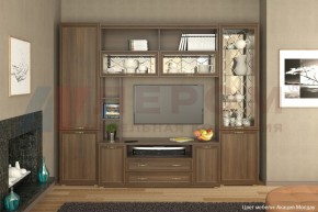 Гостиная Карина Композиция 9 (Акация Молдау) в Надыме - nadym.ok-mebel.com | фото