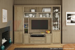Гостиная Карина Композиция 9 (Гикори Джексон светлый) в Надыме - nadym.ok-mebel.com | фото