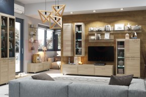 Гостиная Мелисса Композиция 3 (Ясень Асахи) в Надыме - nadym.ok-mebel.com | фото