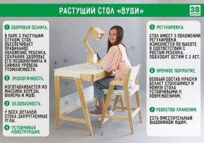 Комплект растущий стол и стул с чехлом 38 попугаев «Вуди» (Серый, Береза, Монстры) в Надыме - nadym.ok-mebel.com | фото 3