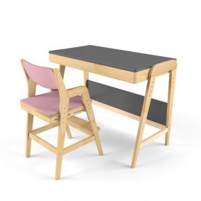 Комплект растущий стол и стул с чехлом 38 попугаев «Вуди» (Серый, Береза, Розовый) в Надыме - nadym.ok-mebel.com | фото