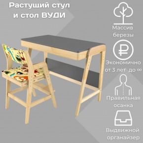 Комплект растущий стол и стул с чехлом 38 попугаев «Вуди» (Серый, Без покрытия, Монстры) в Надыме - nadym.ok-mebel.com | фото
