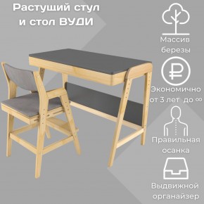 Комплект растущий стол и стул с чехлом 38 попугаев «Вуди» (Серый, Без покрытия, Серый) в Надыме - nadym.ok-mebel.com | фото