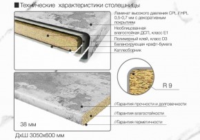 Кухонный фартук со столешницей (А-011) в едином стиле (3050 мм) в Надыме - nadym.ok-mebel.com | фото 6