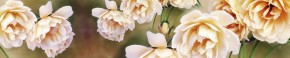 Кухонный фартук Цветы 066 МДФ матовый (3000) Flowers в Надыме - nadym.ok-mebel.com | фото 1