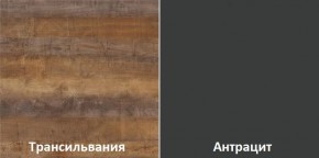 Кухонный гарнитур угловой Трансильвания 2600х1600 мм (Стол. 38 мм) в Надыме - nadym.ok-mebel.com | фото 3