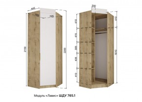 ЛАВИС Детская (модульная) белый/роза-белый софт/ручка золотая в Надыме - nadym.ok-mebel.com | фото 11