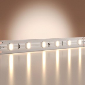 Лента светодиодная Maytoni Base 201166 в Надыме - nadym.ok-mebel.com | фото