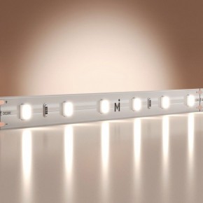 Лента светодиодная Maytoni Base 201167 в Надыме - nadym.ok-mebel.com | фото