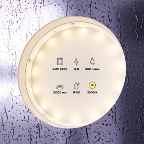 Лента светодиодная Maytoni Led strip 10105 в Надыме - nadym.ok-mebel.com | фото 2