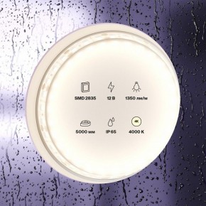 Лента светодиодная Maytoni Led strip 10118 в Надыме - nadym.ok-mebel.com | фото 2