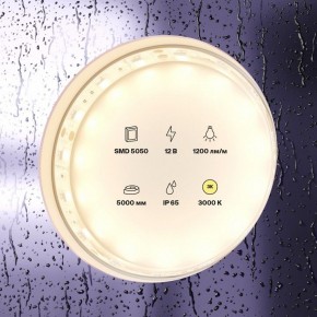 Лента светодиодная Maytoni Led strip 10131 в Надыме - nadym.ok-mebel.com | фото 2