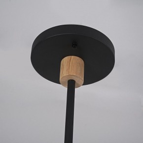 Люстра на штанге Imperiumloft TURNA Black TURNA-DBL01 в Надыме - nadym.ok-mebel.com | фото 9