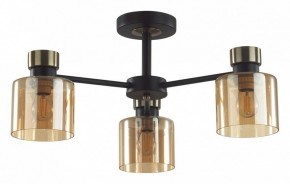 Люстра на штанге Lumion ARLIN 5643/3C в Надыме - nadym.ok-mebel.com | фото