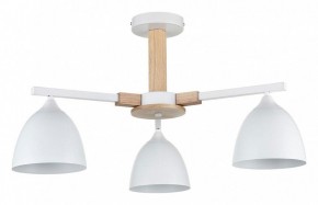 Люстра на штанге Lumion Colange 8095/3C в Надыме - nadym.ok-mebel.com | фото