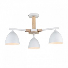 Люстра на штанге Lumion Colange 8095/3C в Надыме - nadym.ok-mebel.com | фото 2