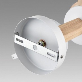 Люстра на штанге Lumion Colange 8095/3C в Надыме - nadym.ok-mebel.com | фото 6