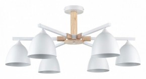 Люстра на штанге Lumion Colange 8095/6C в Надыме - nadym.ok-mebel.com | фото