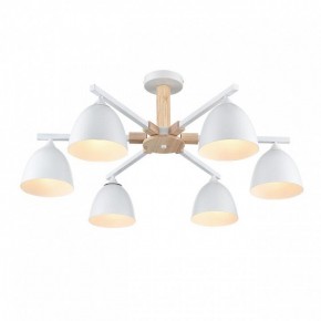 Люстра на штанге Lumion Colange 8095/6C в Надыме - nadym.ok-mebel.com | фото 3