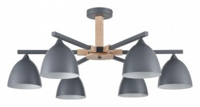 Люстра на штанге Lumion Colange 8096/6C в Надыме - nadym.ok-mebel.com | фото
