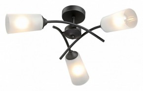 Люстра на штанге Vitaluce V2850 V2850-1/3PL в Надыме - nadym.ok-mebel.com | фото 2
