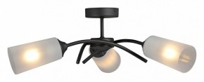 Люстра на штанге Vitaluce V2850 V2850-1/3PL в Надыме - nadym.ok-mebel.com | фото 3