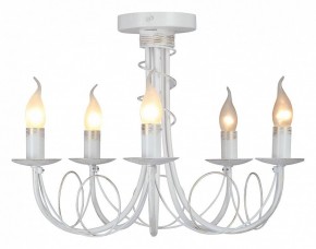 Люстра на штанге Vitaluce V3035 V3035-0/5PL в Надыме - nadym.ok-mebel.com | фото 2