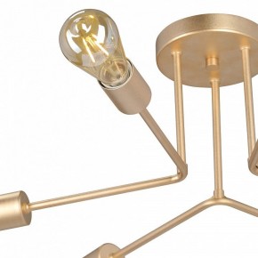 Люстра на штанге Vitaluce V3071 V3071-8/6PL в Надыме - nadym.ok-mebel.com | фото 6