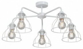 Люстра на штанге Vitaluce V3102 V3102-0/5PL в Надыме - nadym.ok-mebel.com | фото