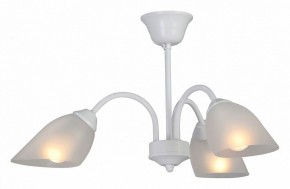 Люстра на штанге Vitaluce V3336 V3336-0/3PL в Надыме - nadym.ok-mebel.com | фото