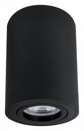 Накладной светильник Arte Lamp Sentry A1566PL-1BK в Надыме - nadym.ok-mebel.com | фото