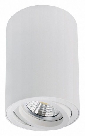 Накладной светильник Arte Lamp Sentry A1566PL-1WH в Надыме - nadym.ok-mebel.com | фото