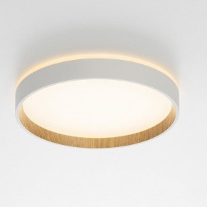 Накладной светильник Citilux Etalon CL750240 в Надыме - nadym.ok-mebel.com | фото 12