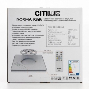 Накладной светильник Citilux Norma CL749K301 в Надыме - nadym.ok-mebel.com | фото 10