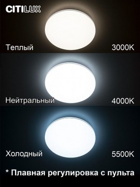 Накладной светильник Citilux Симпла CL714330G в Надыме - nadym.ok-mebel.com | фото 4