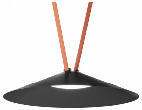 Накладной светильник Denkirs Belty Flow DK5568-BK в Надыме - nadym.ok-mebel.com | фото 2